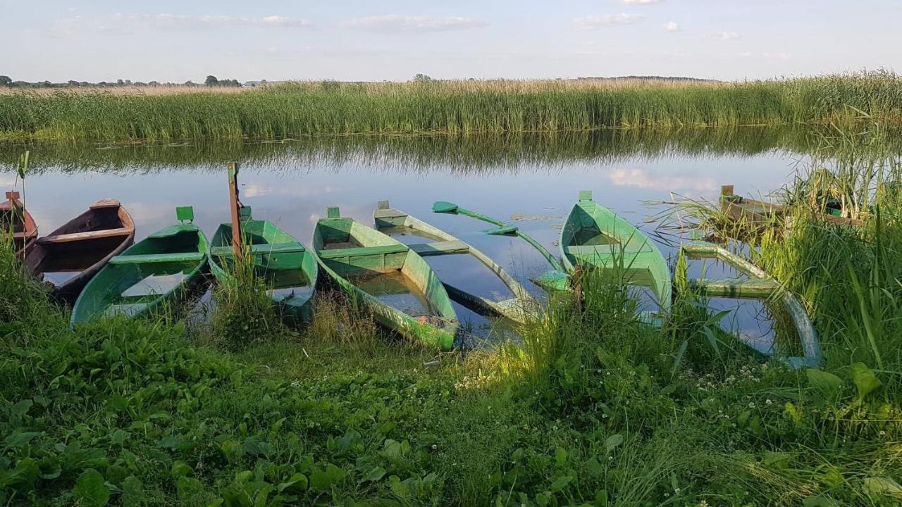 טיקוצ'ין Kurnik Polski Agroturystyka מראה חיצוני תמונה