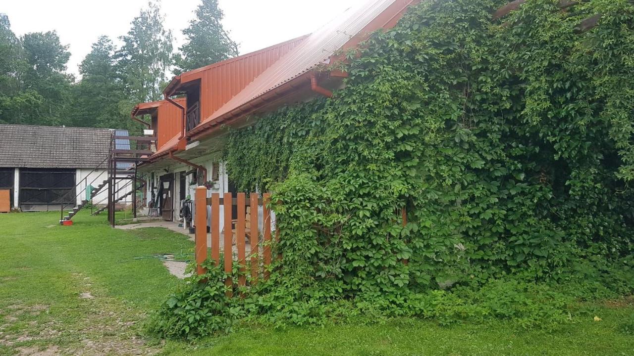 טיקוצ'ין Kurnik Polski Agroturystyka מראה חיצוני תמונה