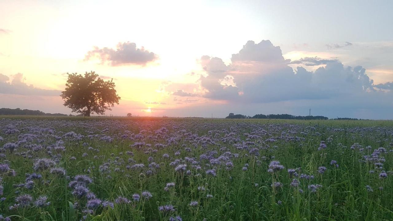 טיקוצ'ין Kurnik Polski Agroturystyka מראה חיצוני תמונה