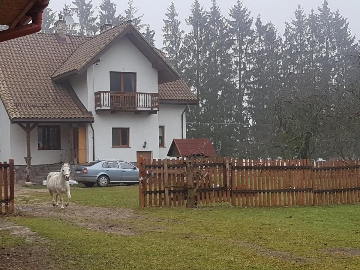 טיקוצ'ין Kurnik Polski Agroturystyka מראה חיצוני תמונה